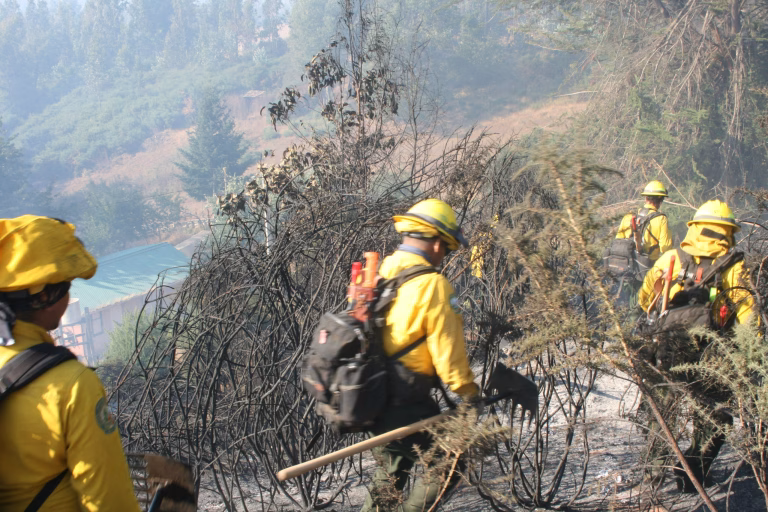 60 brigadistas de México apoyan el combate de incendios forestales en La Araucanía