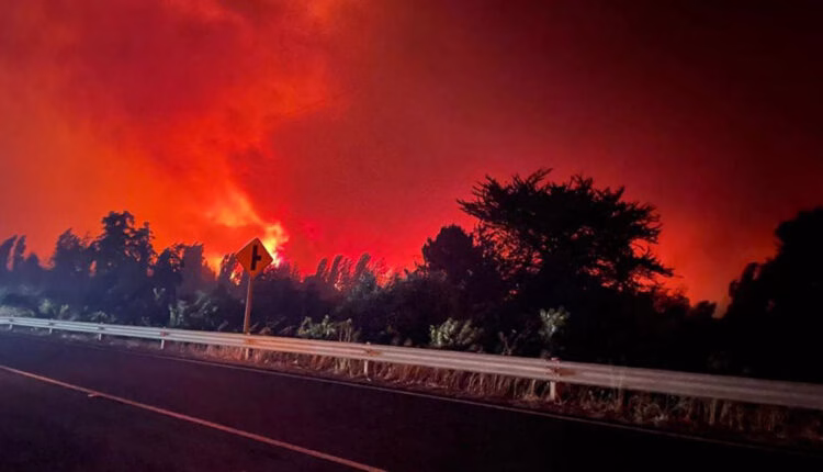 Más de 43 mil hectáreas consumidas por incendios forestales en el sur de Chile, según balance de Senapred