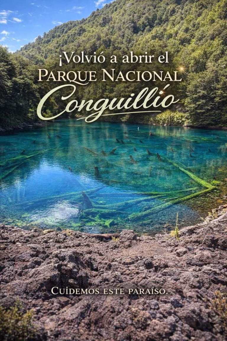 Cámara de Turismo de Melipeuco cuestiona cierre parcial del Parque Conguillío y exige evacuación total en emergencias