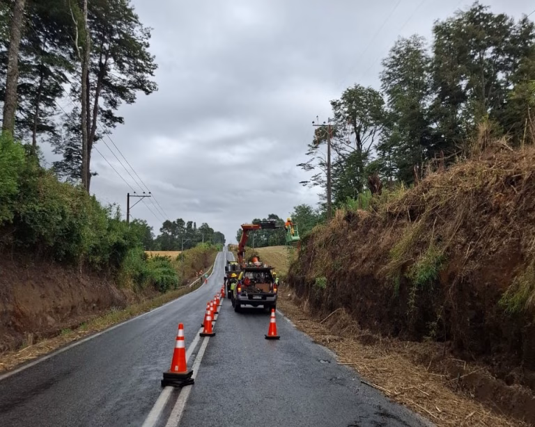 Frontel refuerza redes eléctricas en Codinhue para garantizar suministro seguro