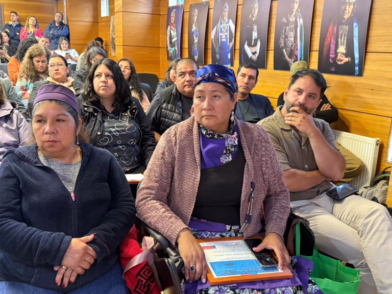 Organizaciones de 16 comunas de Cautín reciben recursos del Fondo Social Presidente de la República