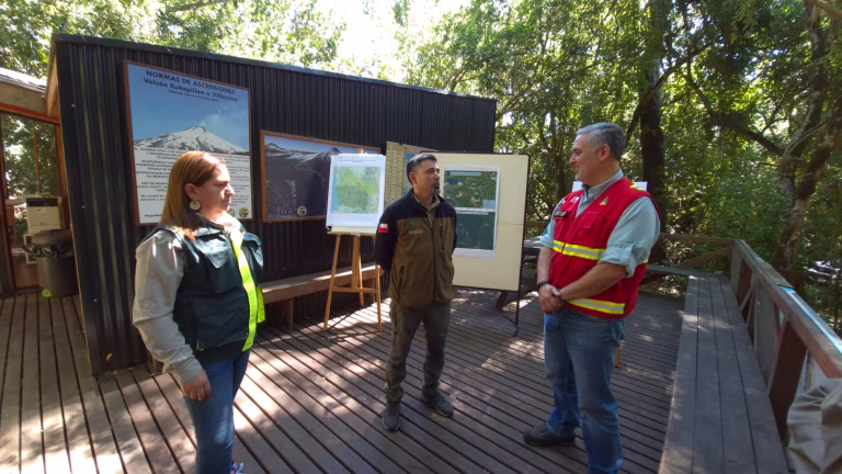 Autoridades refuerzan llamado a cuidar el bosque tras detección de daño a araucarias en Parque Villarrica