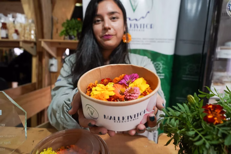Concurso nacional: INDAP invita a productores a postular al Festival Ñam 2026