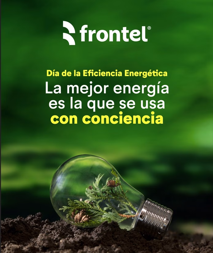 Día Mundial de la Eficiencia Energética: Frontel llama a cuidar la energía y reducir el consumo en el hogar