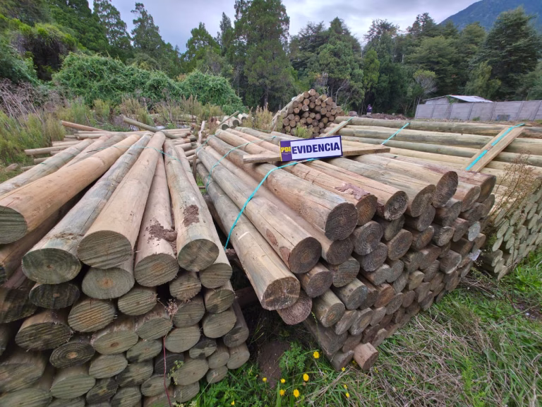 PDI recupera madera avaluada en $4 millones tras estafa en La Araucanía