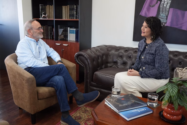 Gobernador Saffirio y diputada Ñanco coordinan agenda para impulsar proyectos en La Araucanía