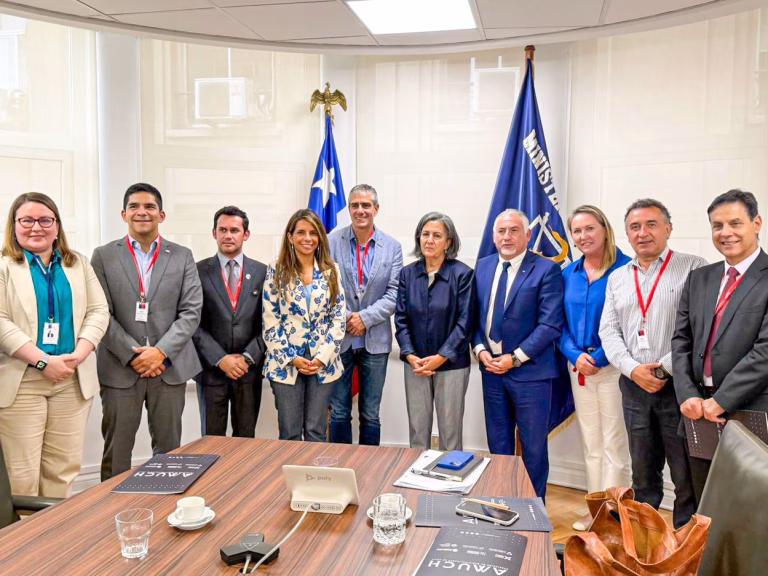 Alcaldes de AMUCH se reúnen con ministra de Salud para abordar desafíos de la atención primaria
