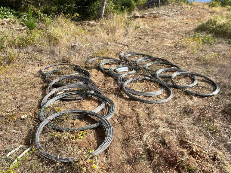 PDI recupera millonario robo de cables eléctricos en Traiguén: especies superan los $2,7 millones