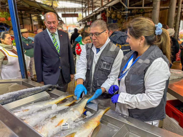 Autoridades intensifican fiscalizaciones a venta de pescados y mariscos previo a Semana Santa en La Araucanía