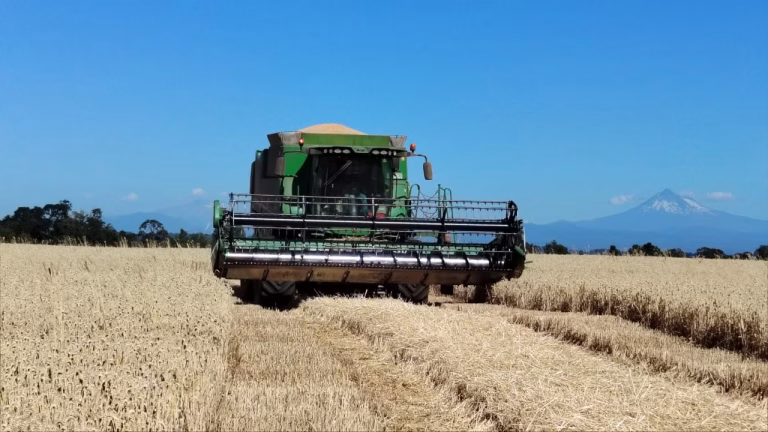 Consorcio Agrícola del Sur advierte grave crisis del agro y pide medidas urgentes al Gobierno