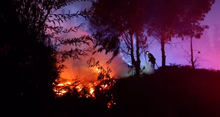 Declaran Alerta Roja para Galvarino por incendio forestal que amenaza viviendas