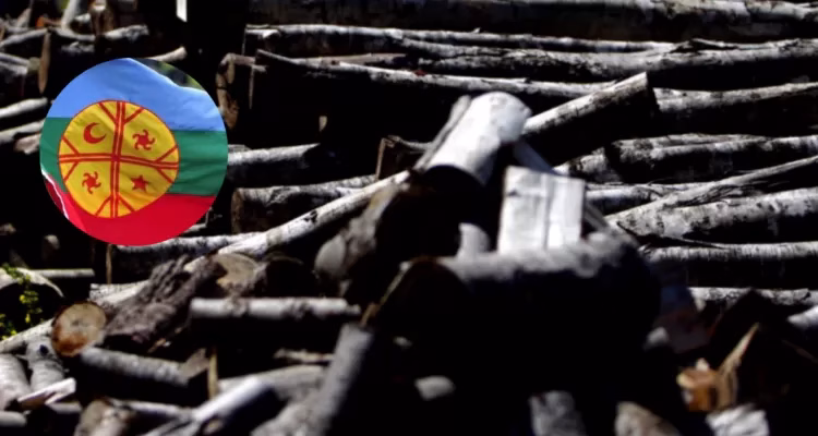 Condenan a dirigente mapuche Mijael Carbone por hurto de madera y asociación ilícita