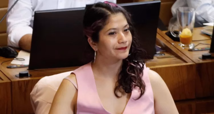 Diputada Coca Ñanco oficia a Contraloría y GORE Araucanía para transparentar proyectos del Programa de Reactivación Económica