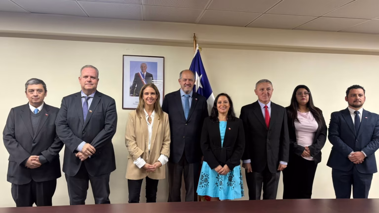 Gobierno presenta a ocho nuevos seremis en La Araucanía para reforzar gestión regional