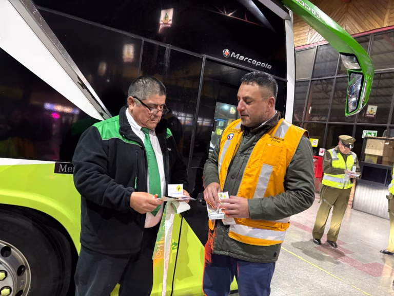 En La Araucanía: Ministerio de Transportes realizará 2 mil controles vehiculares por Semana Santa junto a Carabineros