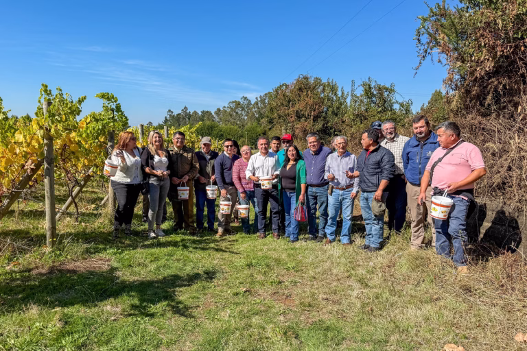 Fiesta de la Vendimia 2026 celebró tradición, vino y orgullo local en Nohualhue