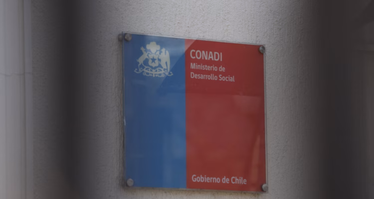 Elección Conadi supera 30 mil votantes y resultados se conocerán este lunes