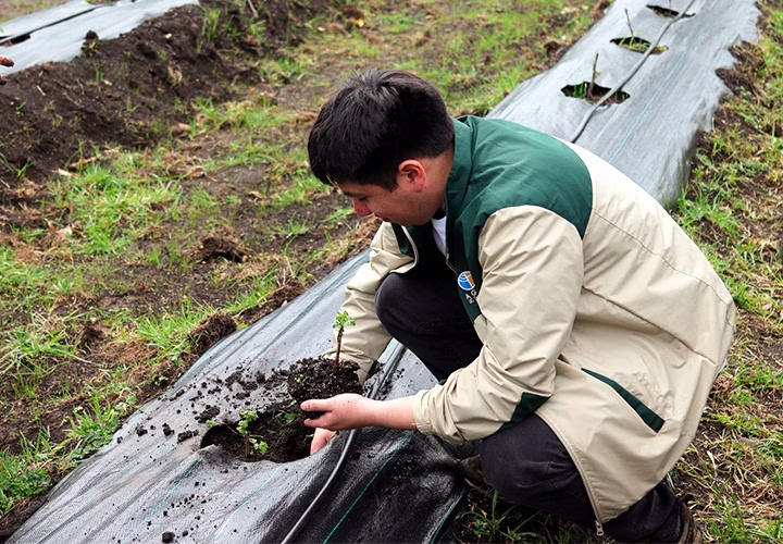 UCT y Ministerio de Agricultura articulan alianza para fortalecer formación agropecuaria sostenible en La Araucanía