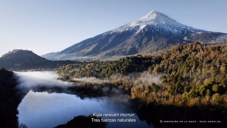 “Inmersión en la Mapu”: Experiencia inmersiva sobre crisis ambiental llega a La Araucanía 
