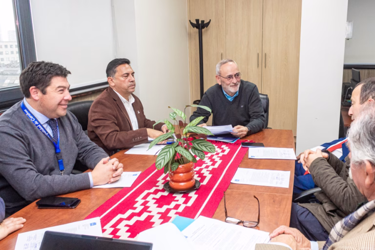 Alcaldes de Costa Araucanía gestionan continuidad de Zona de Desarrollo ante el Gore