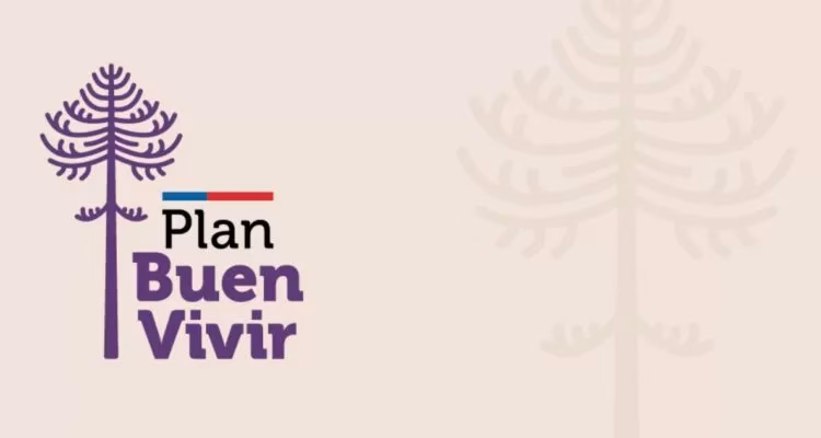 Gobierno despide a equipo del Plan Buen Vivir en La Araucanía y genera cuestionamientos políticos sobre su continuidad