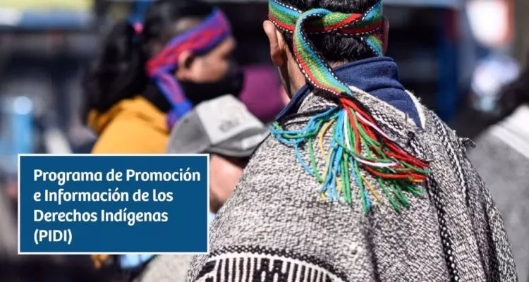 Gobierno despide a 15 funcionarios del programa de Derechos Indígenas en La Araucanía y reestructura Plan Buen Vivir
