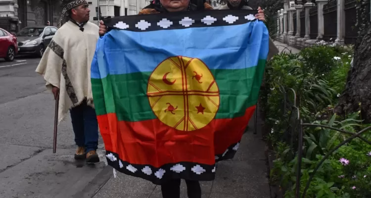 Corte confirma absolución de comuneros mapuches acusados por robo de madera en Panguipulli