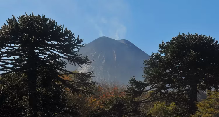 Mujer muere tras caer desde 600 metros durante ascenso al volcán Llaima en La Araucanía