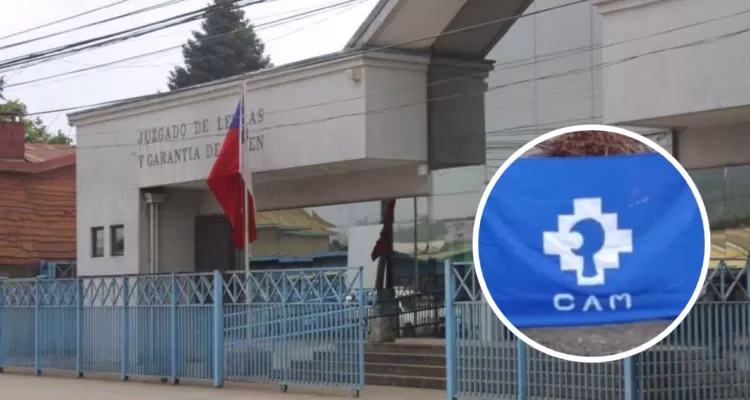 Siete integrantes de la CAM son condenados hasta a 9 años de cárcel por atentados en Purén y Traiguén