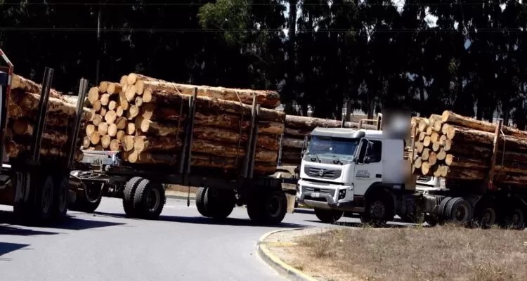 Gremio de conductores forestales acusa falta de coordinación en seguridad y compara gestión con gobierno anterior