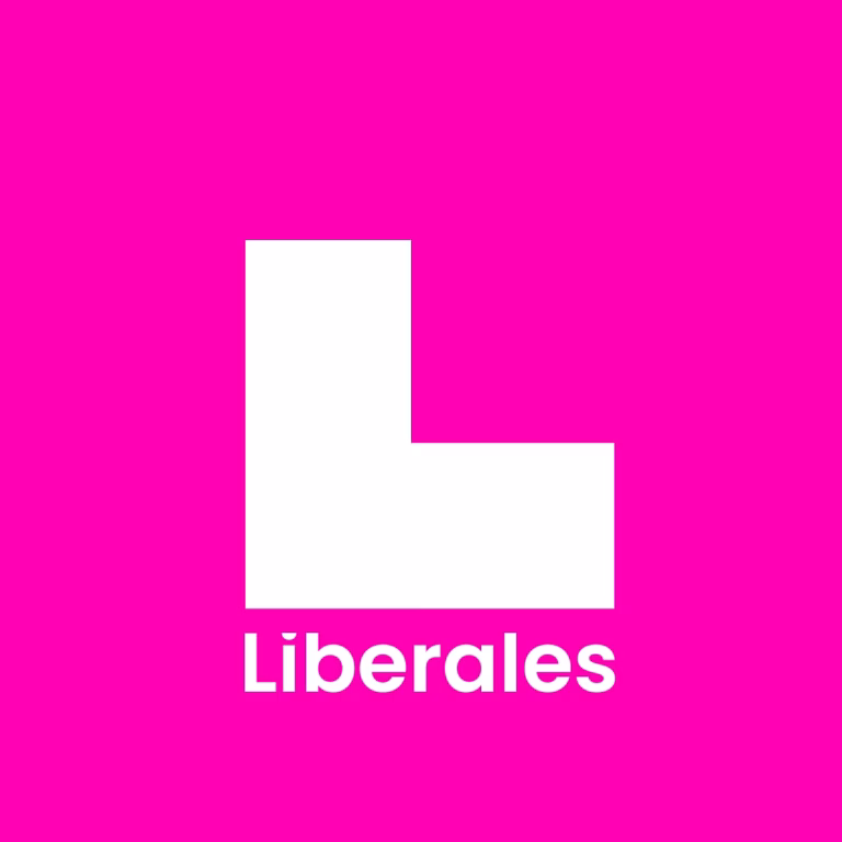 Partido Liberal de la Araucanía pedirá a UNICEF observar la eventual vulneración de derechos de niños haitianos por parte del estado de Chile