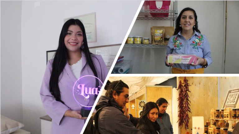 Chile Emprende: nueva plataforma reúne programas, subsidios y apoyo estatal para las Mipymes