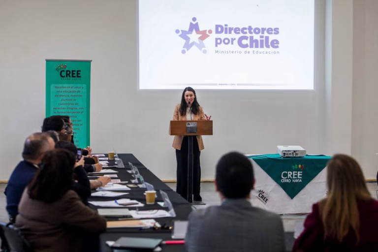 Liceo de Padre Las Casas representará a La Araucanía en el Consejo Nacional de Directores por Chile