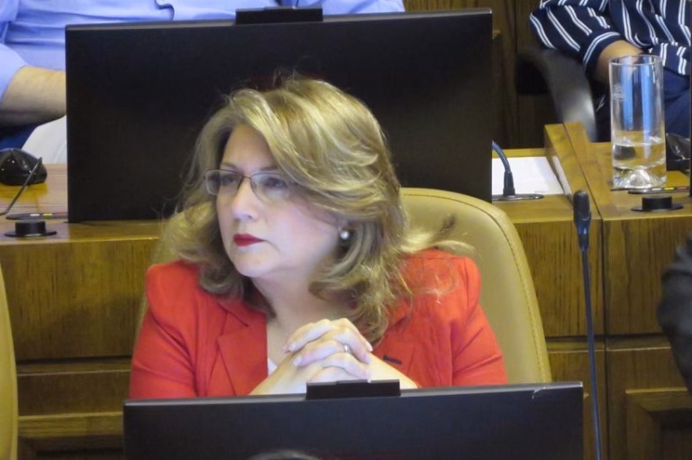 Diputada Andrea Parra llama al senador Ricardo Celis a rechazar la Megarreforma: «No podemos transar en nada»