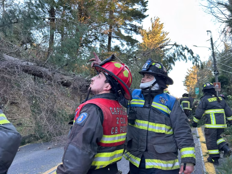 Casi 60 mil conexiones siguen sin luz tras fuerte temporal de viento en La Araucanía