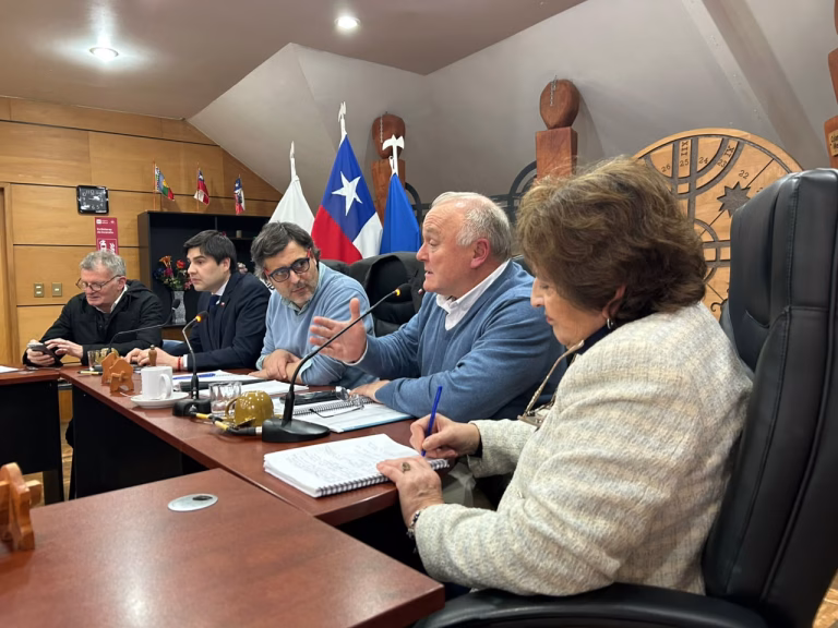 Autoridades buscan destrabar proyectos habitacionales en Pucón tras una década de espera de decenas de familias