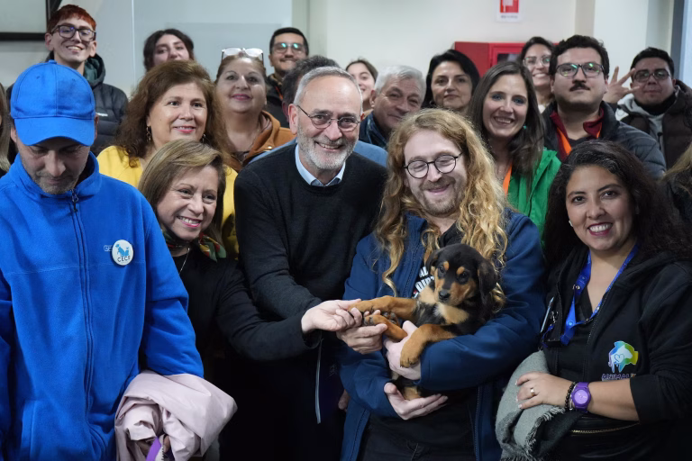 Gobierno de La Araucanía impulsa inédito programa para controlar la sobrepoblación de perros y gatos en Temuco