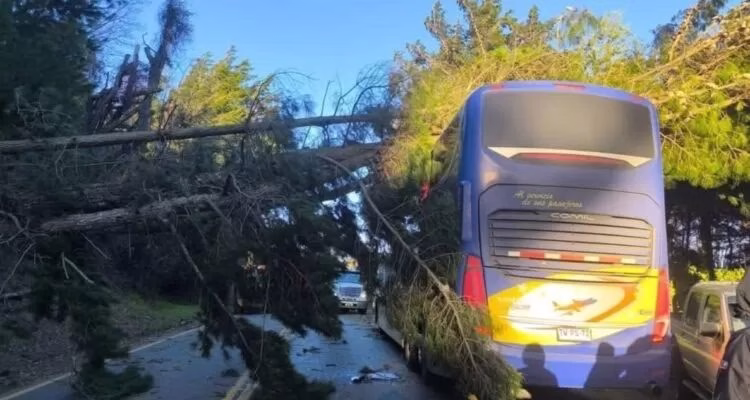 Temporal por fuertes vientos golpea La Araucanía: más de 66 mil clientes sin luz y rutas cortadas entre Villarrica y Pucón