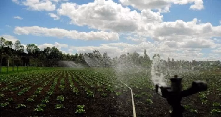 Consorcio Agrícola del Sur pide mayor inversión estatal en embalses tras dichos del ministro Jaime Campos