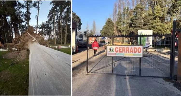 Cierran parque Isabel Riquelme de Lautaro tras caída de 50 árboles por temporal