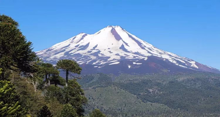 CONAF mantendrá abiertas las 13 Áreas Protegidas de La Araucanía durante fin de semana largo