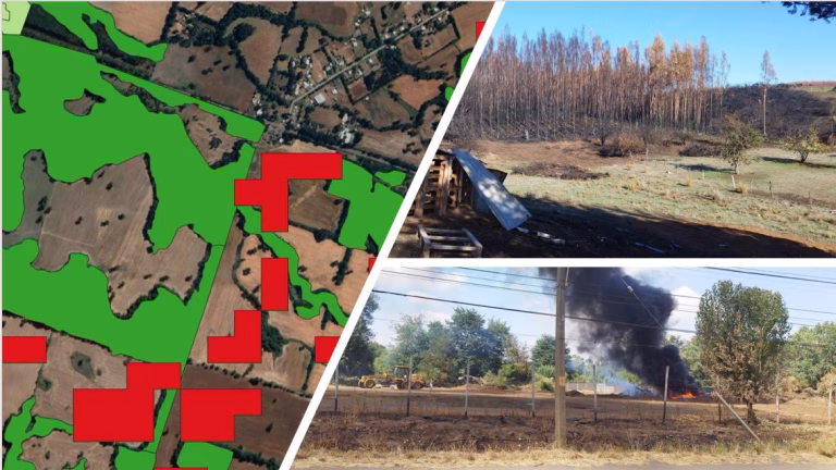 Tecnología satelital fortalece la protección del bosque nativo en La Araucanía
