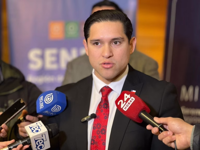 Suspenden todas las clases en La Araucanía este viernes por sistema frontal