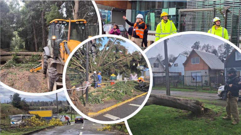 Temporal deja más de 120 viviendas dañadas y 17 incidencias en establecimientos municipales de Temuco
