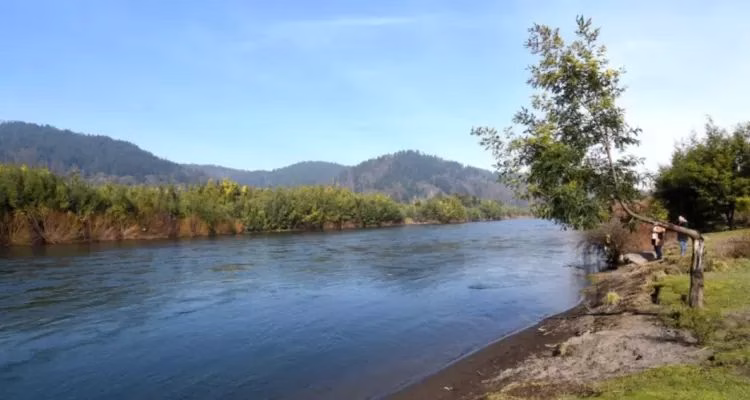 Organización denuncia daño ambiental en río Cautín y acusa inacción municipal ante proliferación de basurales
