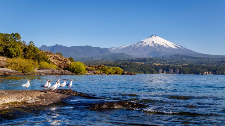 Pucón celebra avance del Plan de Descontaminación del Lago Villarrica y llama a fortalecer el trabajo público-privado