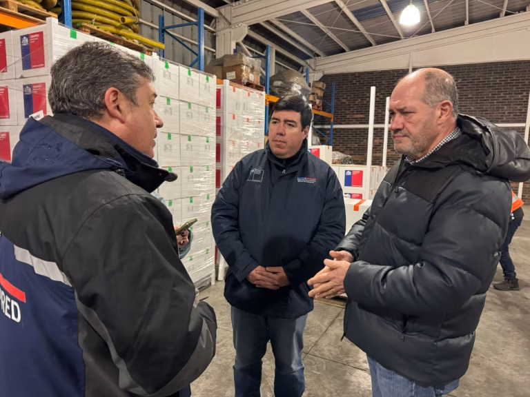 Sistema frontal en La Araucanía: Gobierno entrega ayuda a comunas y refuerza llamado a respetar evacuaciones preventivas