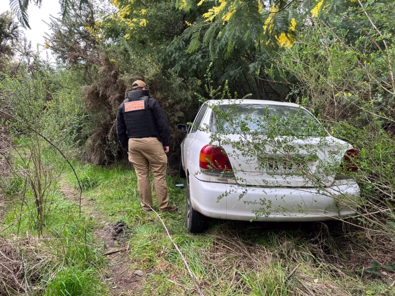 Seguridad municipal de Temuco encuentra dos vehículos robados en humedal Antumalen