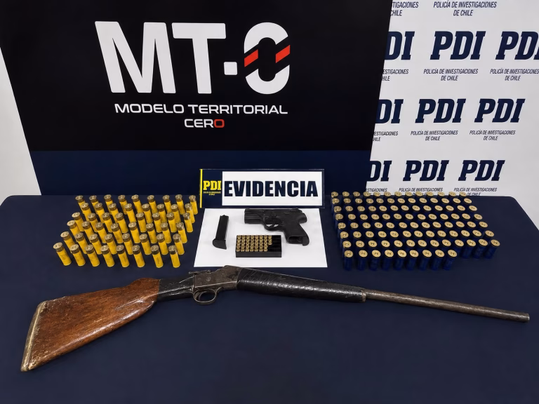 PDI incauta armamento y gran cantidad de munición durante operativo en Lumaco