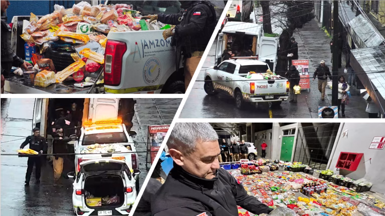 Cámaras municipales de Temuco detectan comercialización ilegal de 1,5 toneladas de mercadería asiática